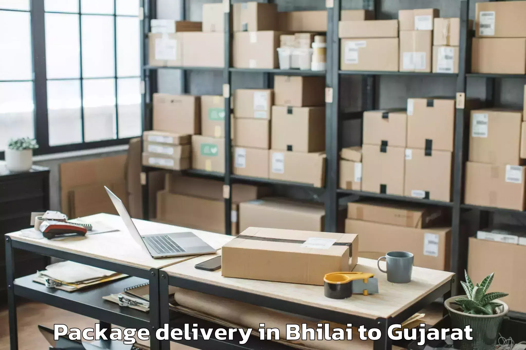 Affordable Bhilai to Songadh Package Delivery